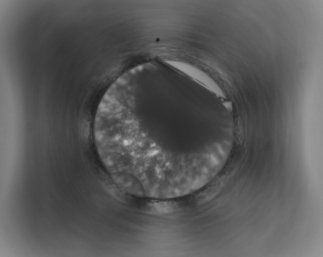 X0000111440417200908101018