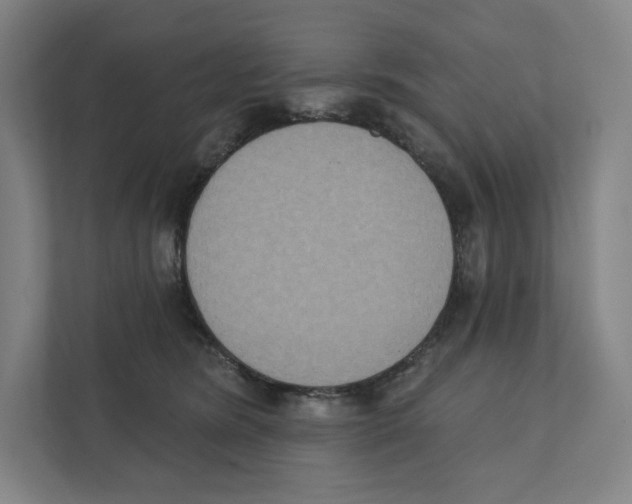 X0000111440420200908101018