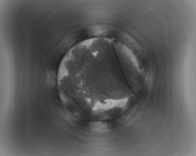 X0000111440421200908101018