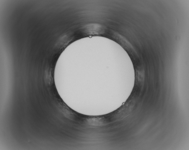 X0000111440422200908101018