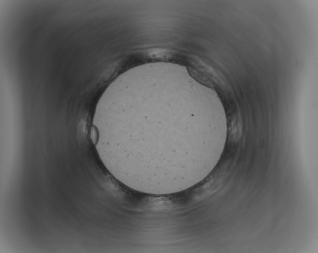 X0000111440424200908101018