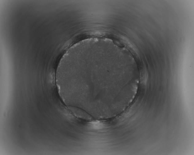 X0000111440425200908101018