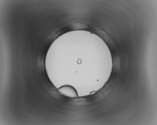 X0000111440426200908101018