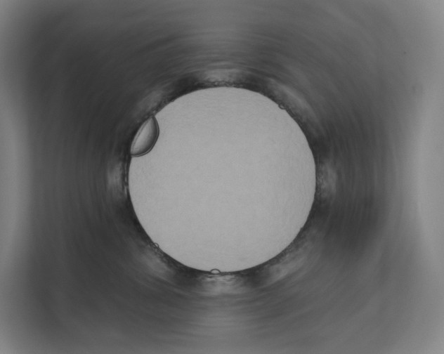 X0000111440428200908101018