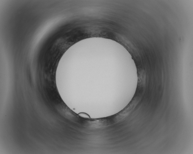 X0000111440430200908101018