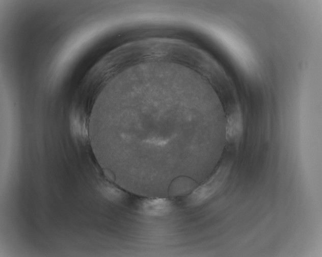 X0000111440431200908101018