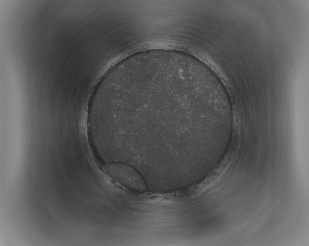 X0000111440434200908101018