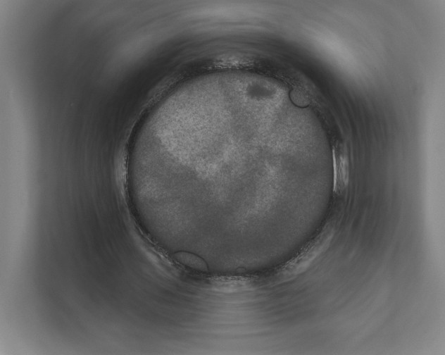 X0000111440435200908101018