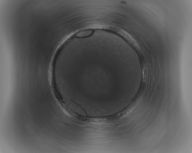 X0000111440436200908101018