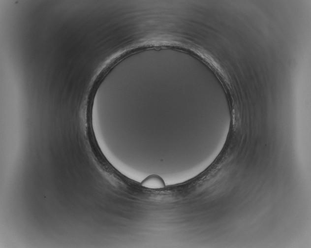 X0000111440438200908101018