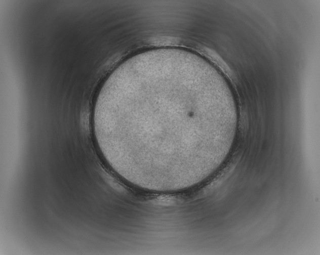 X0000111440441200908101018