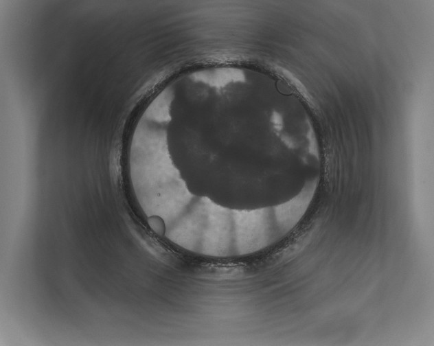 X0000111440443200908101018