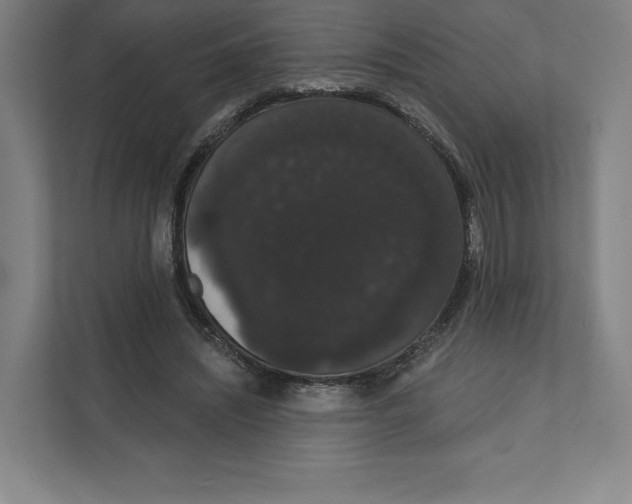 X0000111440444200908101018