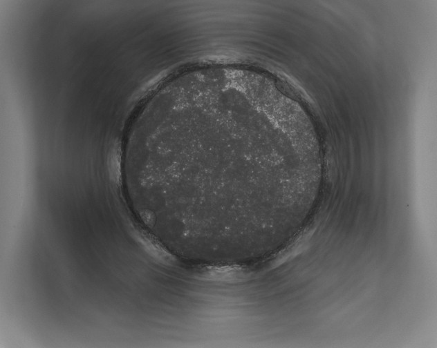 X0000111440446200908101018