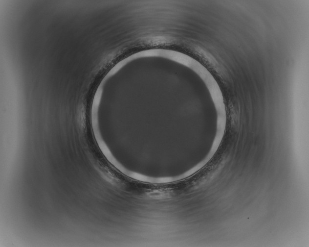 X0000111440447200908101018