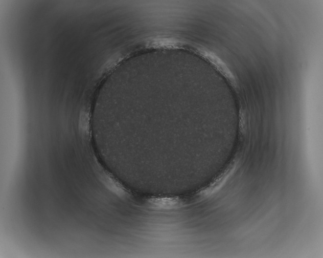 X0000111440449200908101018