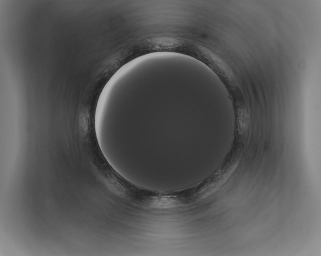 X0000111440451200908101018