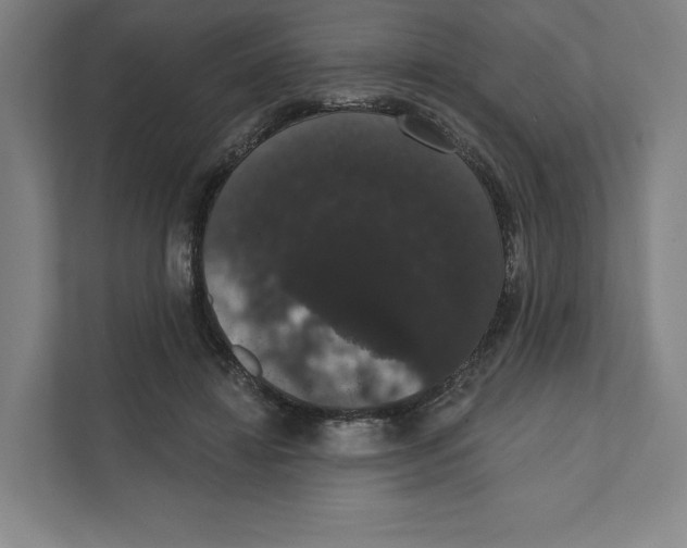 X0000111440452200908101018