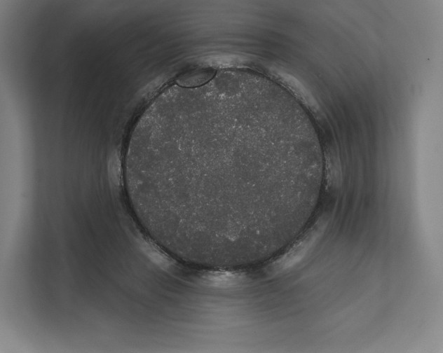 X0000111440453200908101018