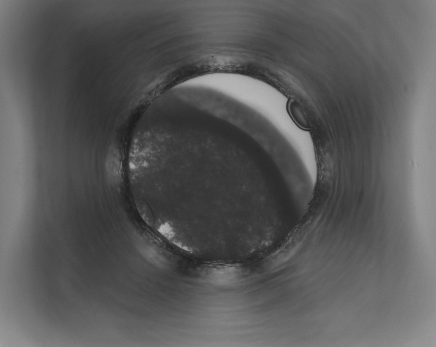 X0000111440456200908101018