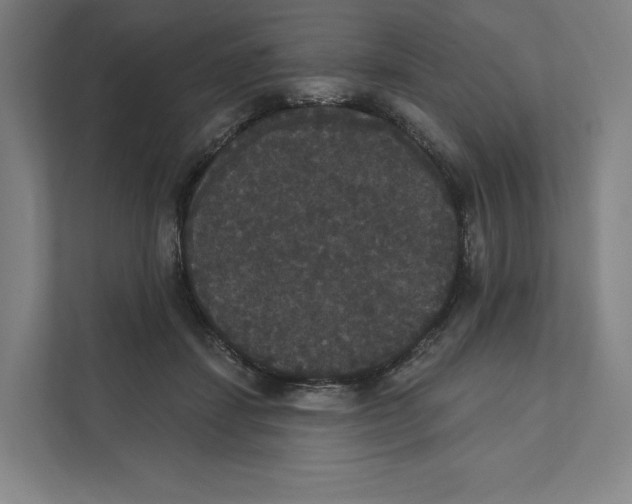 X0000111440459200908101018