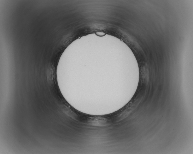 X0000111440463200908101018