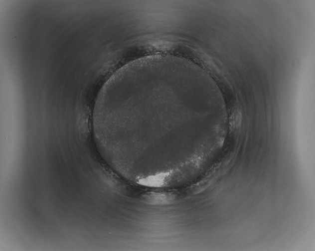 X0000111440464200908101018