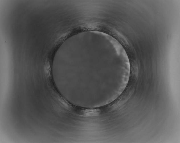 X0000111440465200908101018