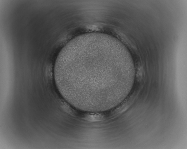 X0000111440466200908101018