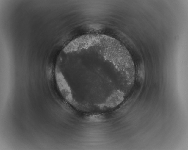 X0000111440468200908101018