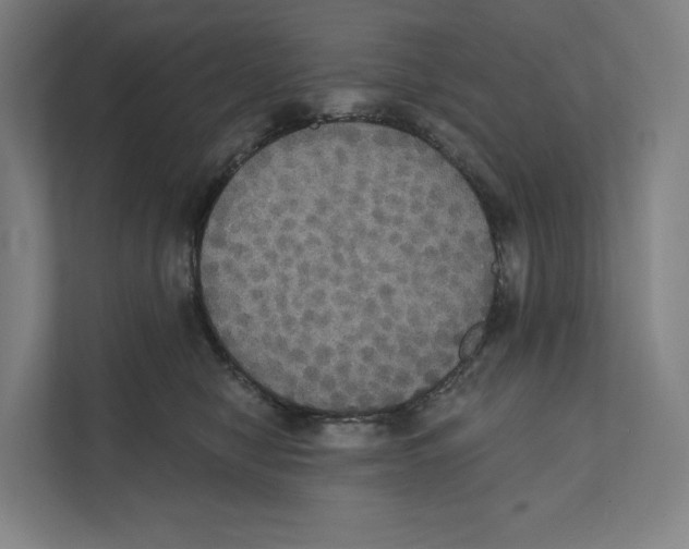 X0000111440470200908101018