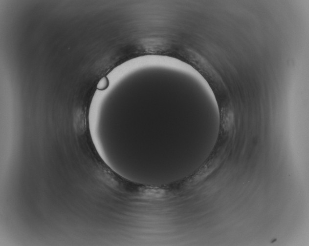 X0000111440471200908101018