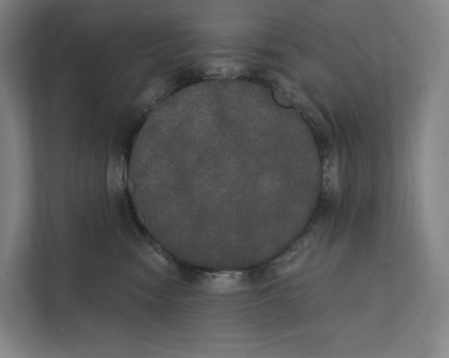 X0000111440474200908101018