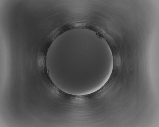 X0000111440475200908101018