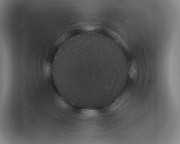 X0000111440476200908101018