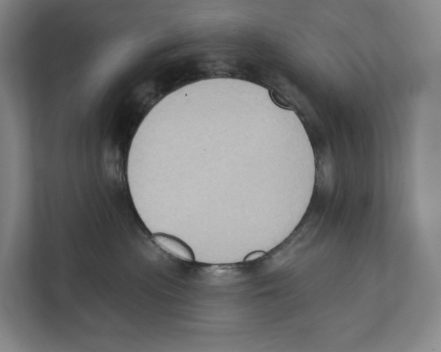 X0000111440477200908101018