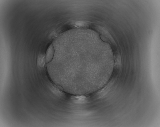 X0000111440478200908101018