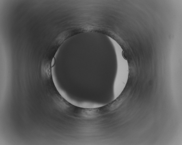 X0000111440479200908101018