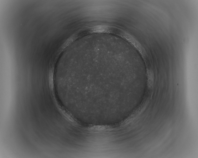 X0000111440482200908101017