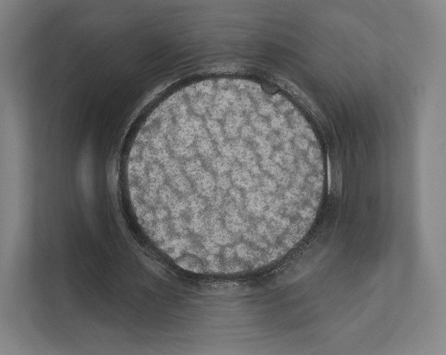 X0000111440483200908101017