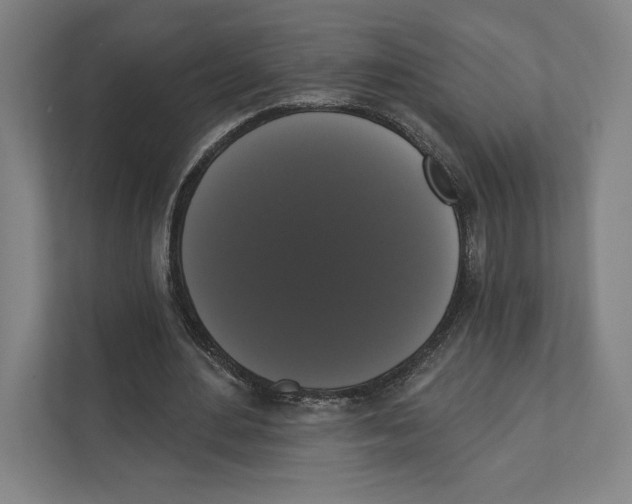 X0000111440484200908101017