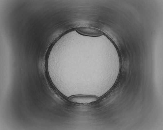 X0000111440485200908101017