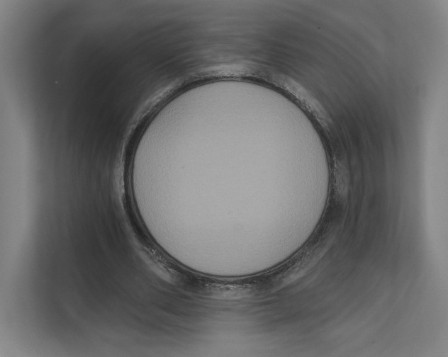 X0000111440486200908101017