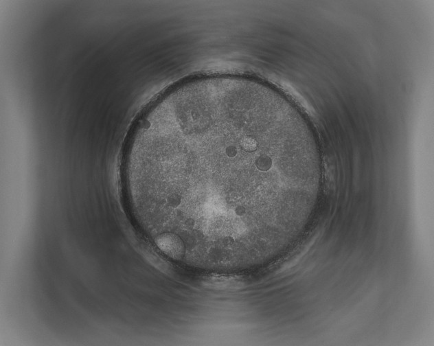 X0000111440487200908101017