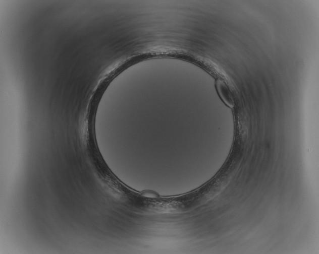 X0000111440488200908101017