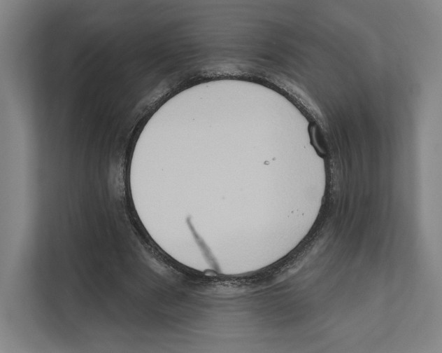 X0000111440489200908101017