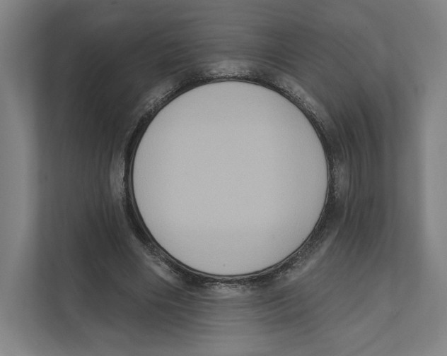 X0000111440490200908101017