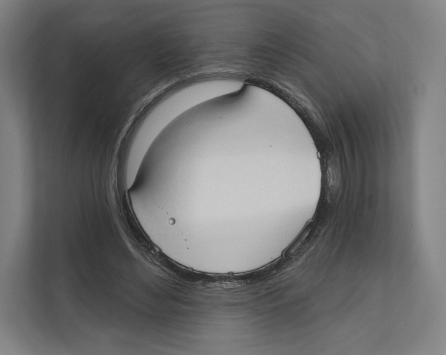 X0000111440492200908101017