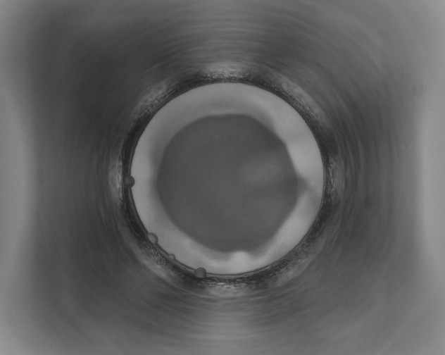 X0000111440494200908101017