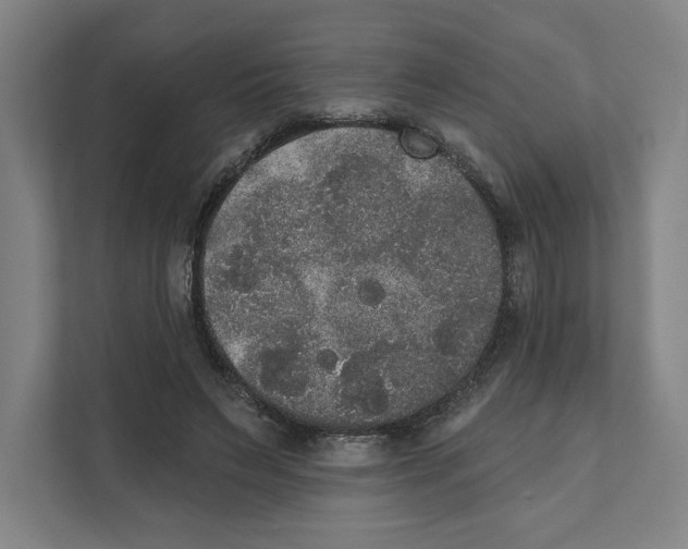 X0000111440495200908101017